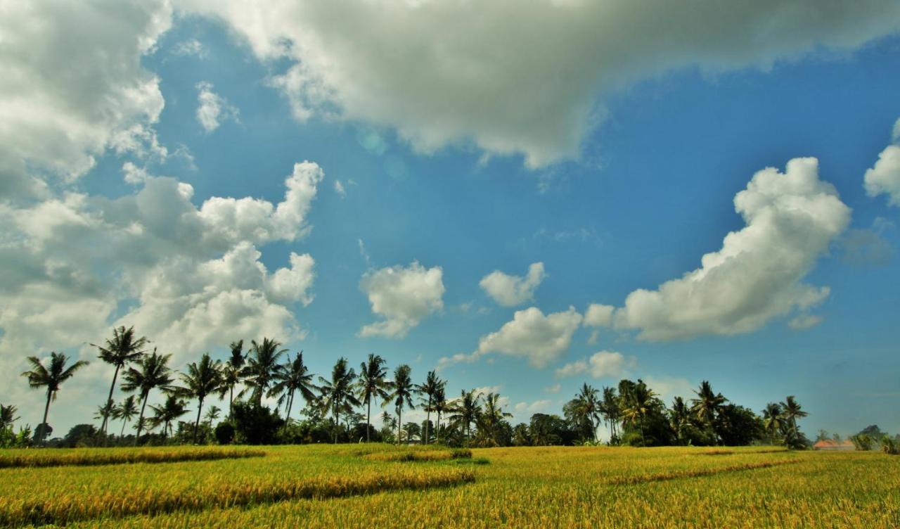 Griya Private Villa Ubud Exterior foto